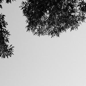 妮可裸乳被爆❌白浆的图片
